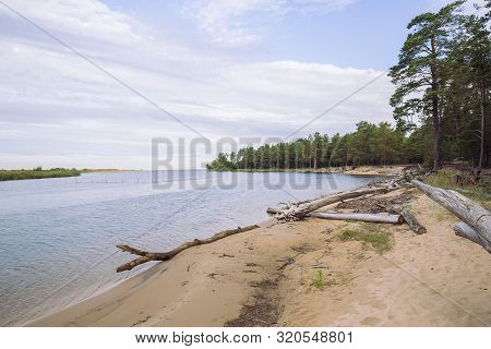 City Carnikava, Latvian Republic. Green Nature In Summer With River Gauja And Waves. Travel Photo. S