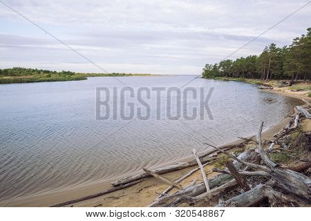 City Carnikava, Latvian Republic. Green Nature In Summer With River Gauja And Waves. Travel Photo. S