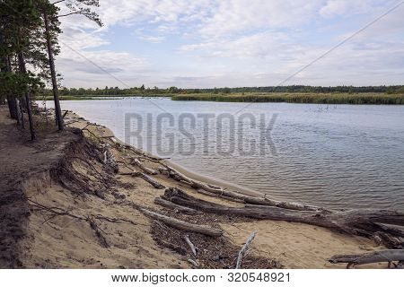 City Carnikava, Latvian Republic. Green Nature In Summer With River Gauja And Waves. Travel Photo. S