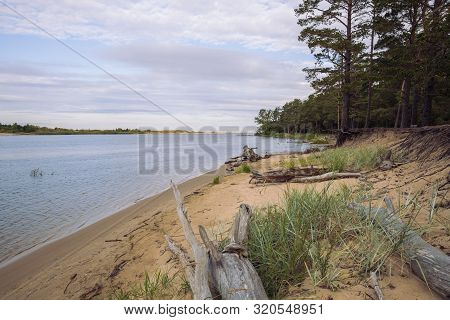 City Carnikava, Latvian Republic. Green Nature In Summer With River Gauja And Waves. Travel Photo. S