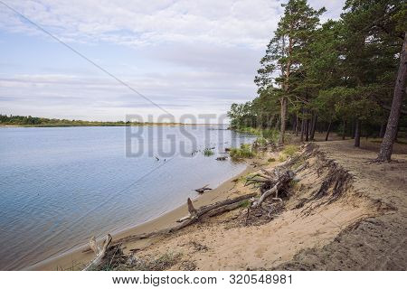 City Carnikava, Latvian Republic. Green Nature In Summer With River Gauja And Waves. Travel Photo. S