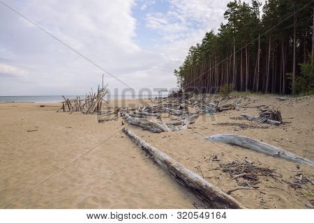 City Carnikava, Latvian Republic. Green Nature In Summer With Baltic Sea And Waves. Travel Photo. Se