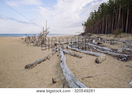 City Carnikava, Latvian Republic. Green Nature In Summer With Baltic Sea And Waves. Travel Photo. Se