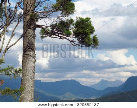 View from Lookout at Binna Burra, South East Queensland Australia