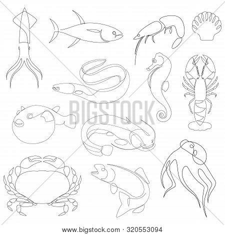 Underwater Animals Collection Drawn By One Line. Minimalist Style Sea And Ocean Creatures. Vector Il
