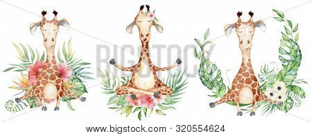 Cute Watercolor Geraffe With Tropical Flowers In Yoga Position Hand Drawn Illustration
