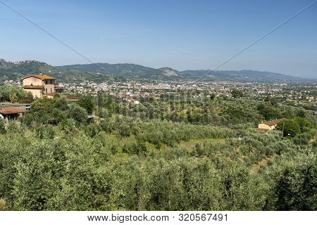 Rural Landscape From Buggiano Castello, Historic Town Near Pescia, Pistoia, Tuscany, Italy, With Oli