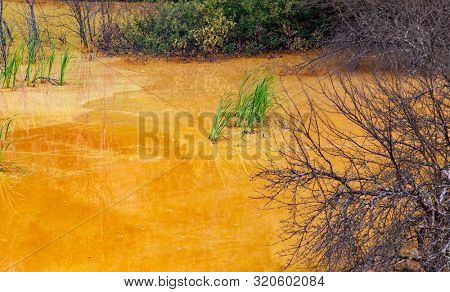 nature pollution from copper mine at lake Geamana, Romania