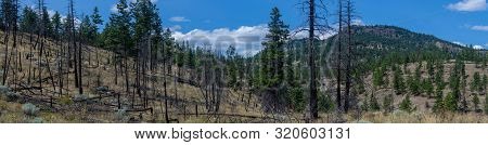 Panorama Of Okanogan Lake Mountains In Kelowna, British Columbia, Canada On A Sunny Day Looking At B