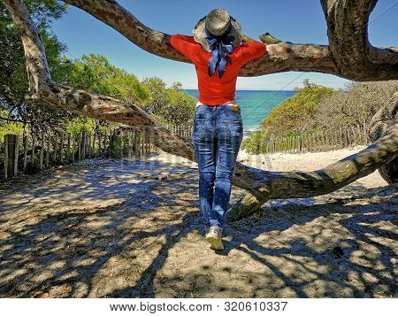 Woman Arriving At The Saleccia - The Most Beautiful Beach Of Corsica, Near Saint Florent