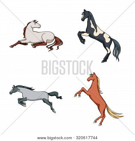 Vector Design Of Animal And Stallion Sign. Set Of Animal And Farm Vector Icon For Stock.