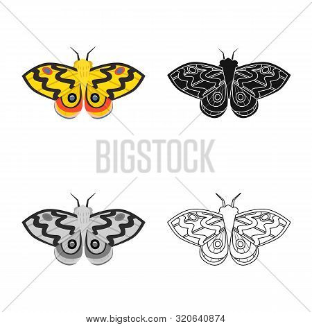 Isolated Object Of Butterfly And Elegant Icon. Set Of Butterfly And Vivid Stock Vector Illustration.