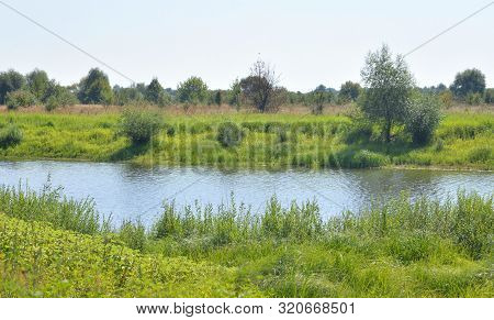 Little River At Sunny Summer Day In Belarusian Polesie.