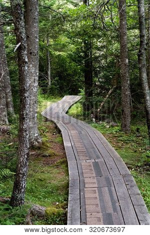 The Board Walk From Red Point To The Anchorage On Grand Manan