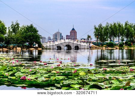 Landscape Of Nanhu Park, Changchun, China - Photographed In Changchun, China