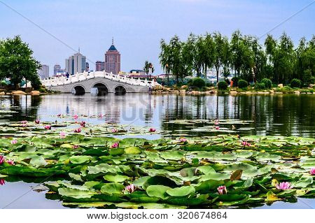 Landscape Of Nanhu Park, Changchun, China - Photographed In Changchun, China