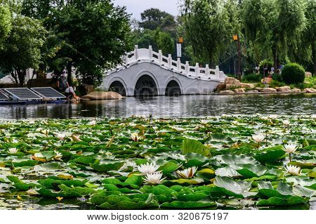 Landscape Of Nanhu Park, Changchun, China - Photographed In Changchun, China