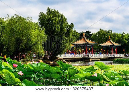 Landscape Of Nanhu Park, Changchun, China - Photographed In Changchun, China