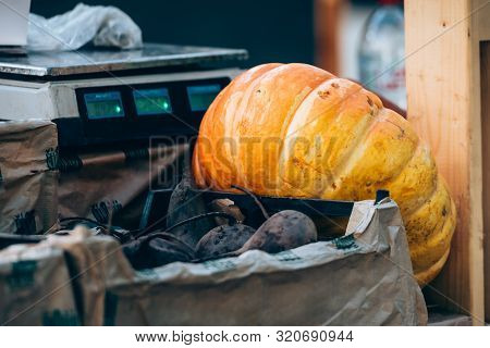 Pumpkin, Market, Autumn-autumn Market And Trade In Natural Products