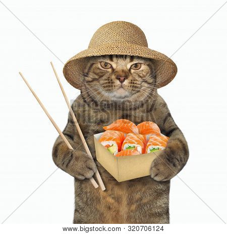 The Cat In Straw Hat Is Eating Salmon Sushi Using Chopsticks.  White Background. Isolated.