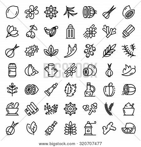 Condiment Icons Set. Outline Set Of Condiment Vector Icons For Web Design Isolated On White Backgrou