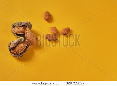 Top View On Just From The Branch Nuts, No Shelled And Shelled Almonds, Kernels. Flat Lay With Food A
