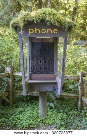 An Old Phone Booth Is Overtaken By Moss At Hoh Rainforest In Olympic National Park, Washington