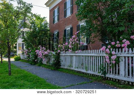 Picket Fence With Roses