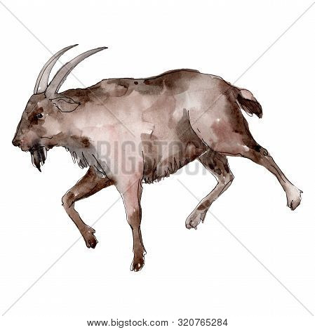 Goat Farm Animal Isolated. Watercolor Background Illustration Set. Isolated Goat Illustration Elemen