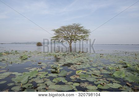 Cambodia Battambang Kamping Pouy Lake