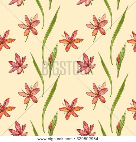 Kafir Lilies Flowers. Seamless Patterns. Collection Of Hand Drawn Flowers And Plants. Botany. Set. V