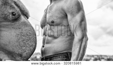 Turn Beer Belly Into Six Packs Abs In Easy Steps. Compare Fat And Six Packs Attractive Torso. Male U
