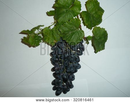 Blue Grapes On A White Background With Green Leaves.