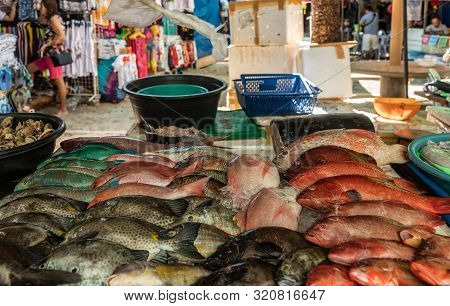 Balabag, Boracay Island, Philippines - March 4, 2019: Wider Shot Of Red And Other Fishes On Display 