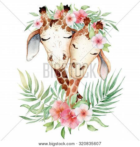 Cute Watercolor Couple Of Geraffes With Tropical Flowers Card Hand Drawn Illustration