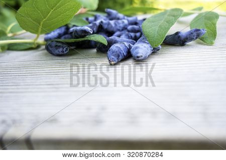 Honeysuckle Berry Or Woodbine With Green Leaves On Light Coloured Wooden Background. Close Up View.