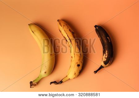 Ugly Fruit Modification Of Three Bananas From Ripe To More Spoiled Brown With Spots Isolated. The Co