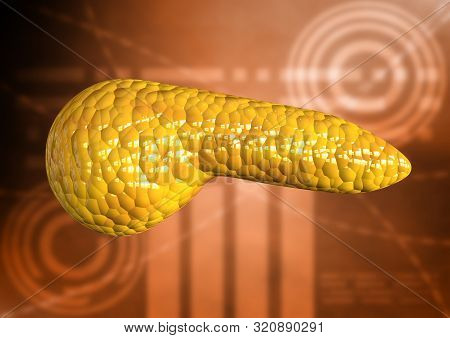 Pancreas, Human Body Organ Isolated On Scientific Background. 3d Rendering