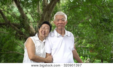 Asian Senior Couple Smiling Happy Green Tree Background