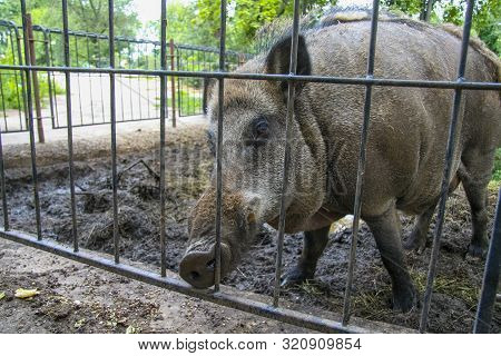 Kharkiv State Zoological Park