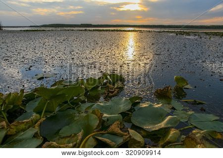 Sunset In The Dnieper River