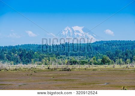 A View Of The Nisqually Wetlands And Mount Rainier.