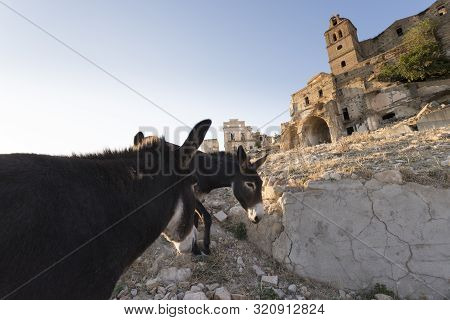Craco, Abandoned Ghost Town In Italy To Mean A Concept