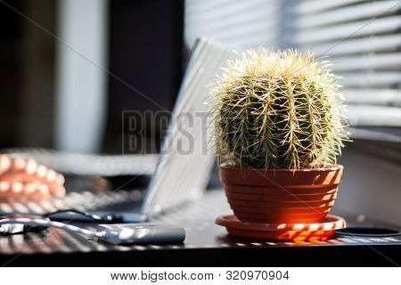 woman hands using smartphone, home office background, social media  influencer