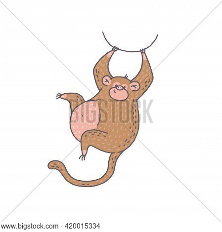 Cute Monkey Animal. Cartoon Colorful Character Illustration.
