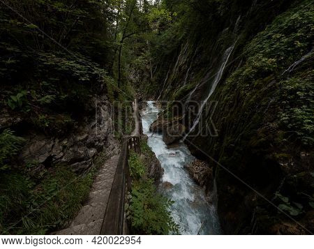Nature Landscape Panorama Of Wooden Boardwalk Path In Raw Wild Mountain Stream River Gorge Ravine Wi