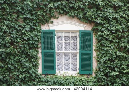 Efeu bedeckt old fashioned window