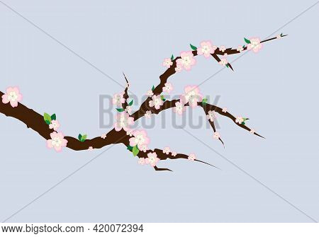 Vector Illustration, Sakura Tree Branch With Pink Flowers