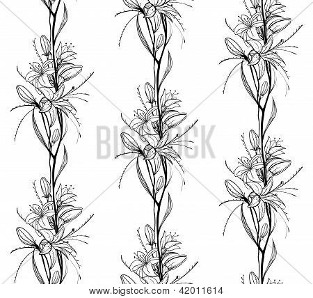 Blumen Lilie skizzieren nahtlose Muster