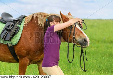 Caucasian Woman Is Putting A Black Bridle On Her Horse In Outdoors.